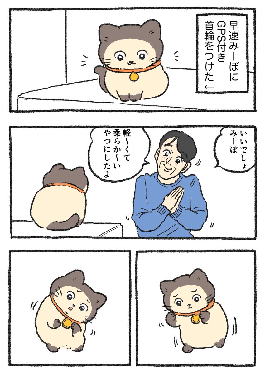 ねこに転生したおじさん。その477