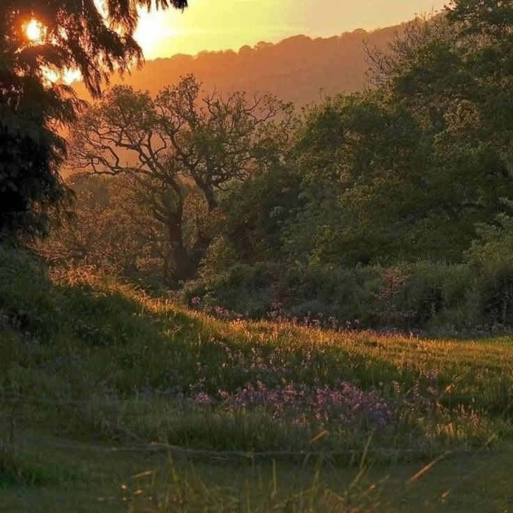artindetails's tweet photo. golden hour. https://t.co/xNpKwAkKCZ