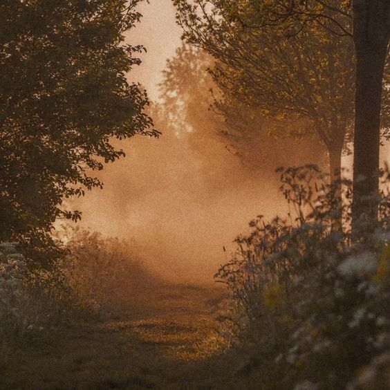 artindetails's tweet photo. golden hour. https://t.co/xNpKwAkKCZ