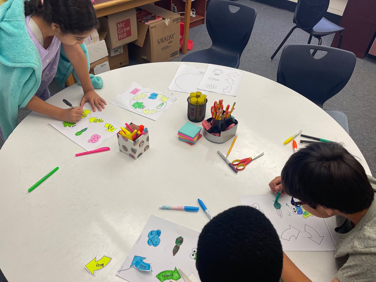 Third grade ML students worked hard on reading fiction and nonfiction texts on life cycles, and creating a poster of the frog life cycle! <a href="/tincroadschool/">Tinc Road Elementary School</a> <a href="/markdgrilo/">Mark D. Grilo</a> @Dani_Marangon