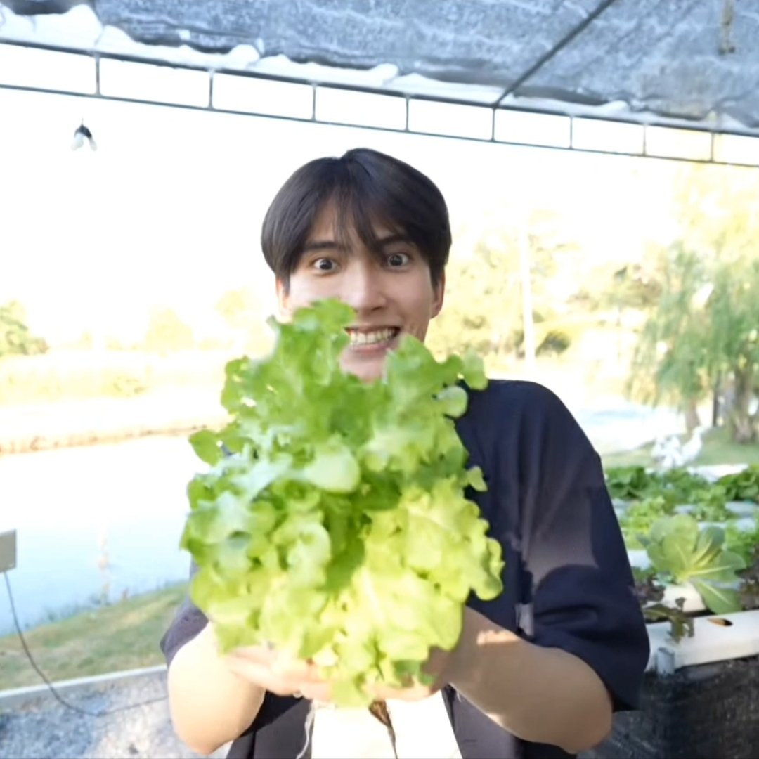 mytoptap_idn's tweet photo. 🥬🥬🥬☺
#toptap_Jirakit #First_Chalongrat #WonderFrame #ToptapGotItFirst #TGIF_EP5 #TheTerrace81TH https://t.co/1z0UHeEVdF