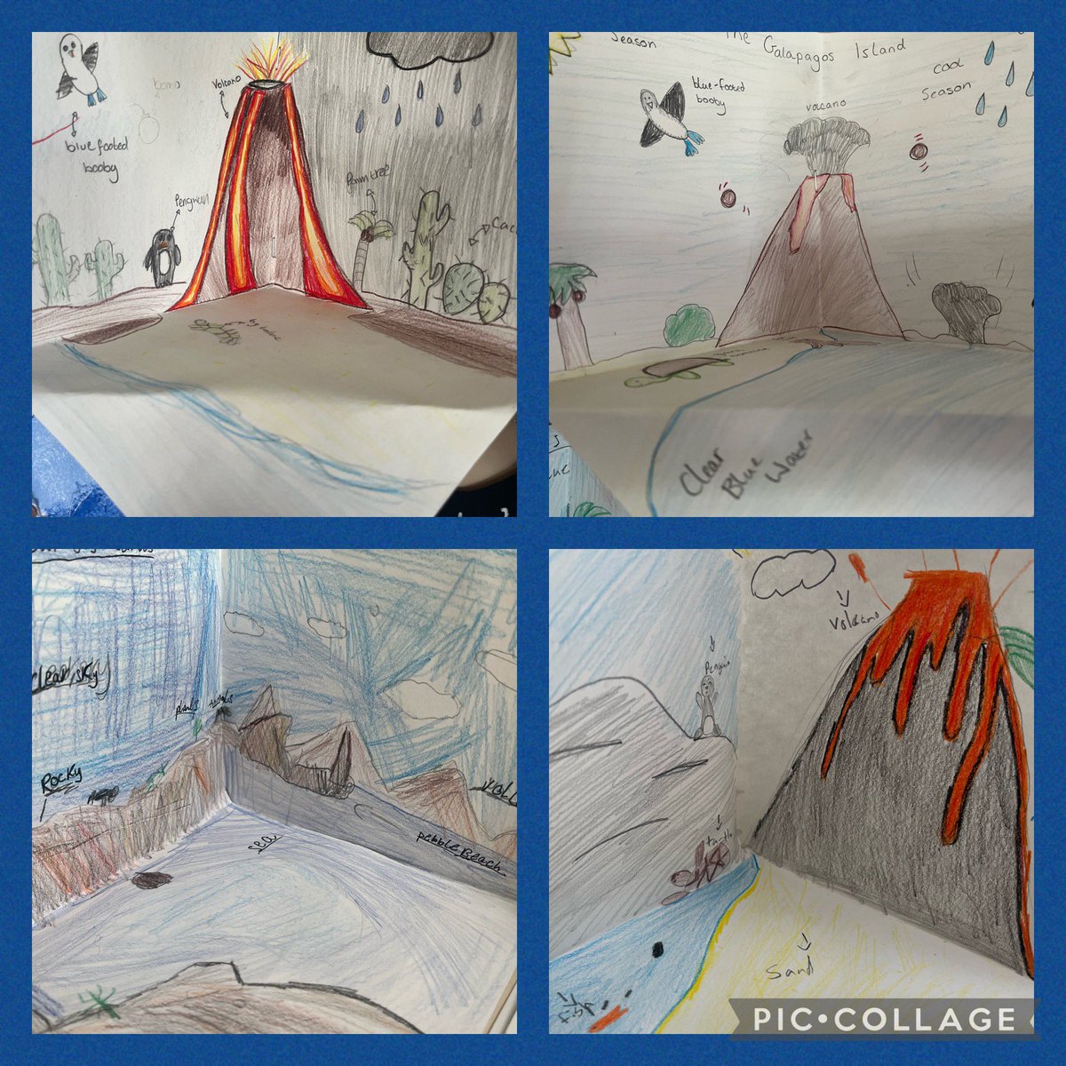 Mrs Scott tweet media