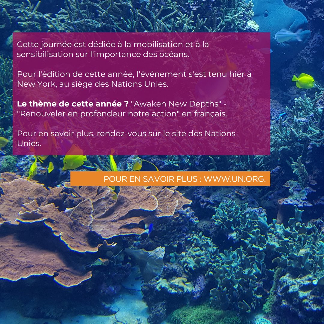 [#ACTU 🌍]  

Aujourd'hui, c'est la Journée mondiale des océans.  Cette journée est dédiée à la mobilisation et à la sensibilisation sur l'importance des océans.  

Découvrez en plus sur le site des Nations Unies. 
👉  un.org/fr/observances…