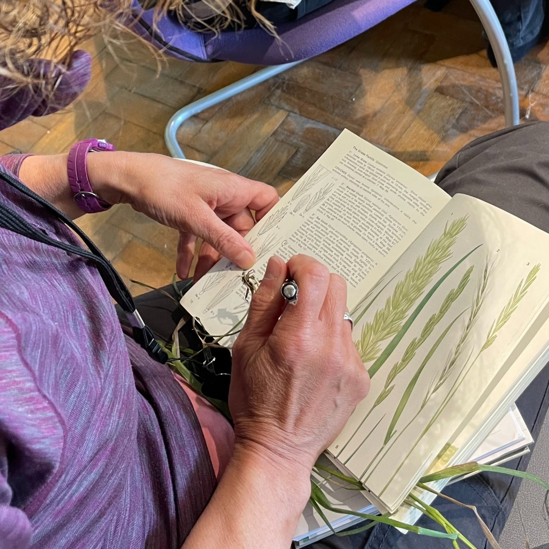 Heal Somerset tweet media