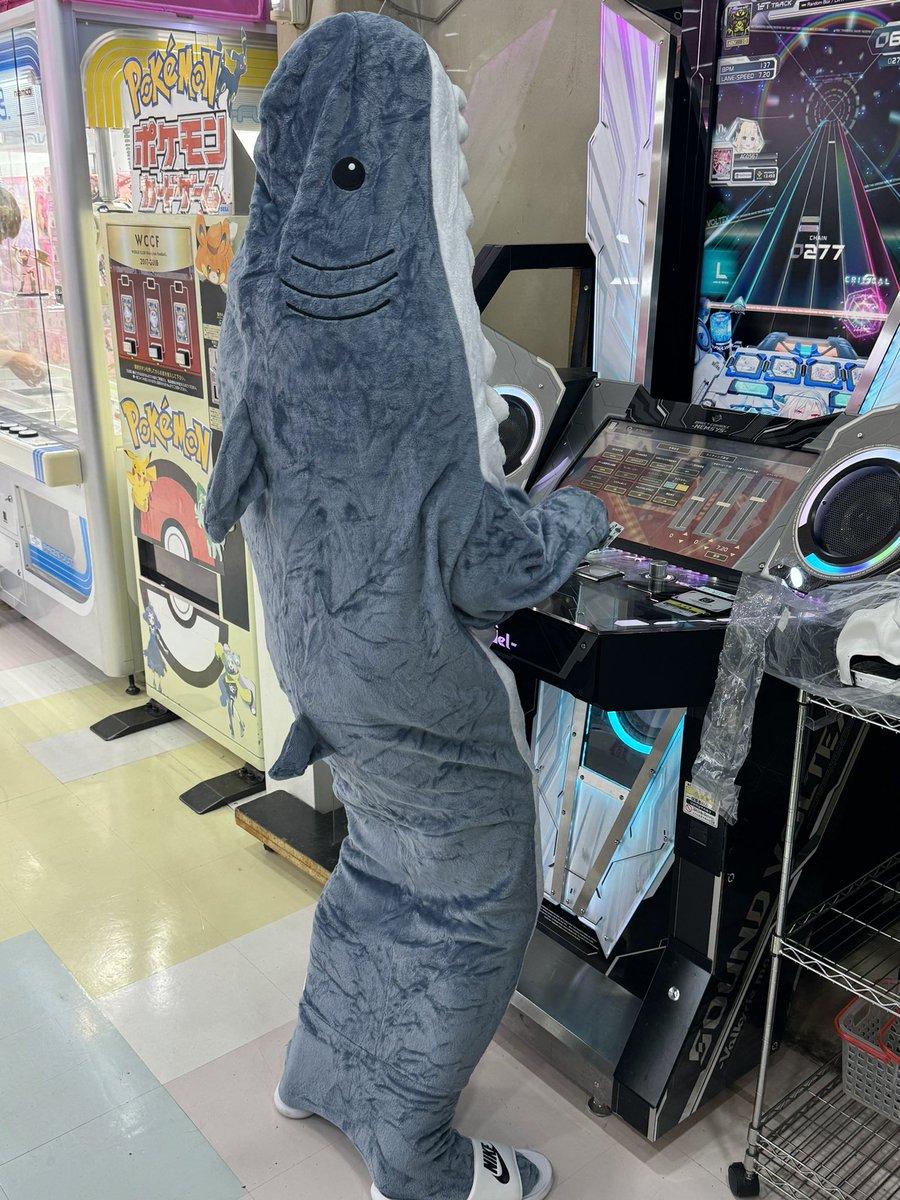 サメがボルテしてた