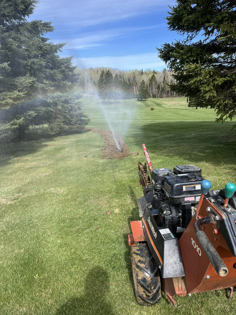 Andrew McQuade tweet media