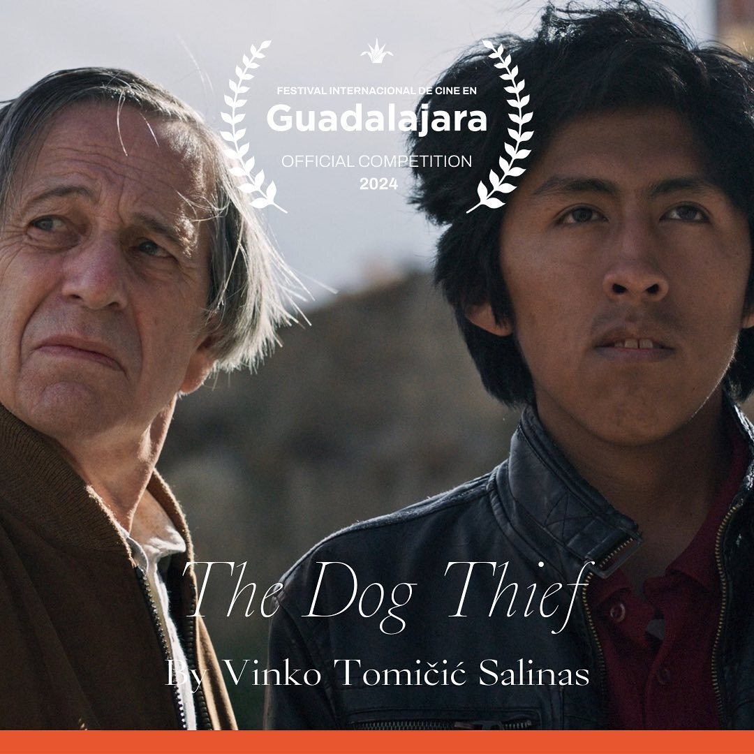 Today is the first day of Festival Internacional de Cine en Guadalajara which is screening the Mexican premiere of four of our films!

THE DOG THIEF by Vinko Tomičić Salinas (Ibero-American Fiction Feature Film, Homenaje Mayahuel Iberoamericano: Alfredo … instagr.am/p/C76kzTYNjtY/