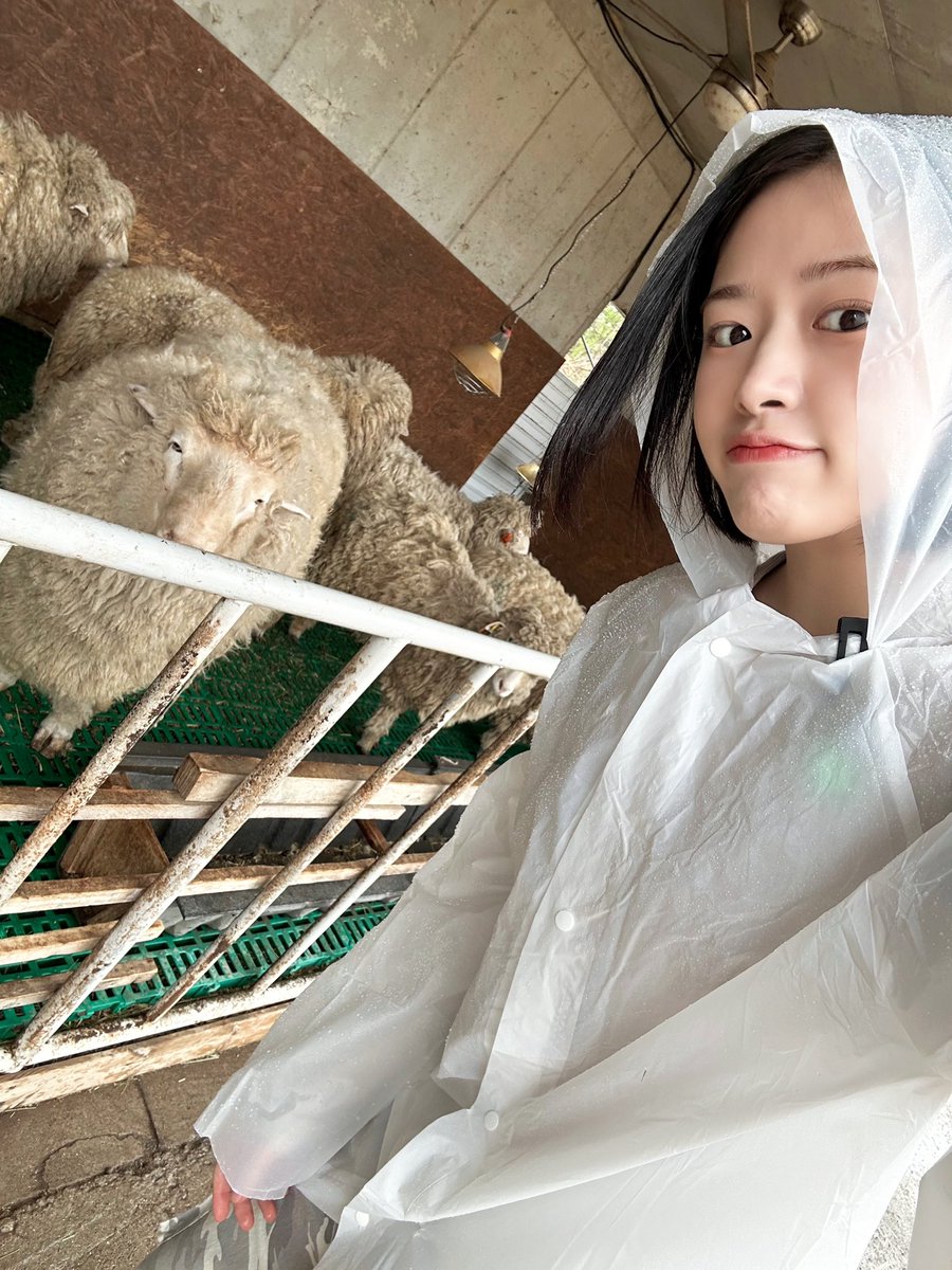 📸 240607 #tvN #지락이의뛰뛰빵빵 완료 💕 드디어 시작된 영지이ㅣㅣㅣㅣ타임과 함께 으ㅎ허마어마한 유진이 춤선이ㅣㅣㅣ~~! 안유진 네가 내 별이다...