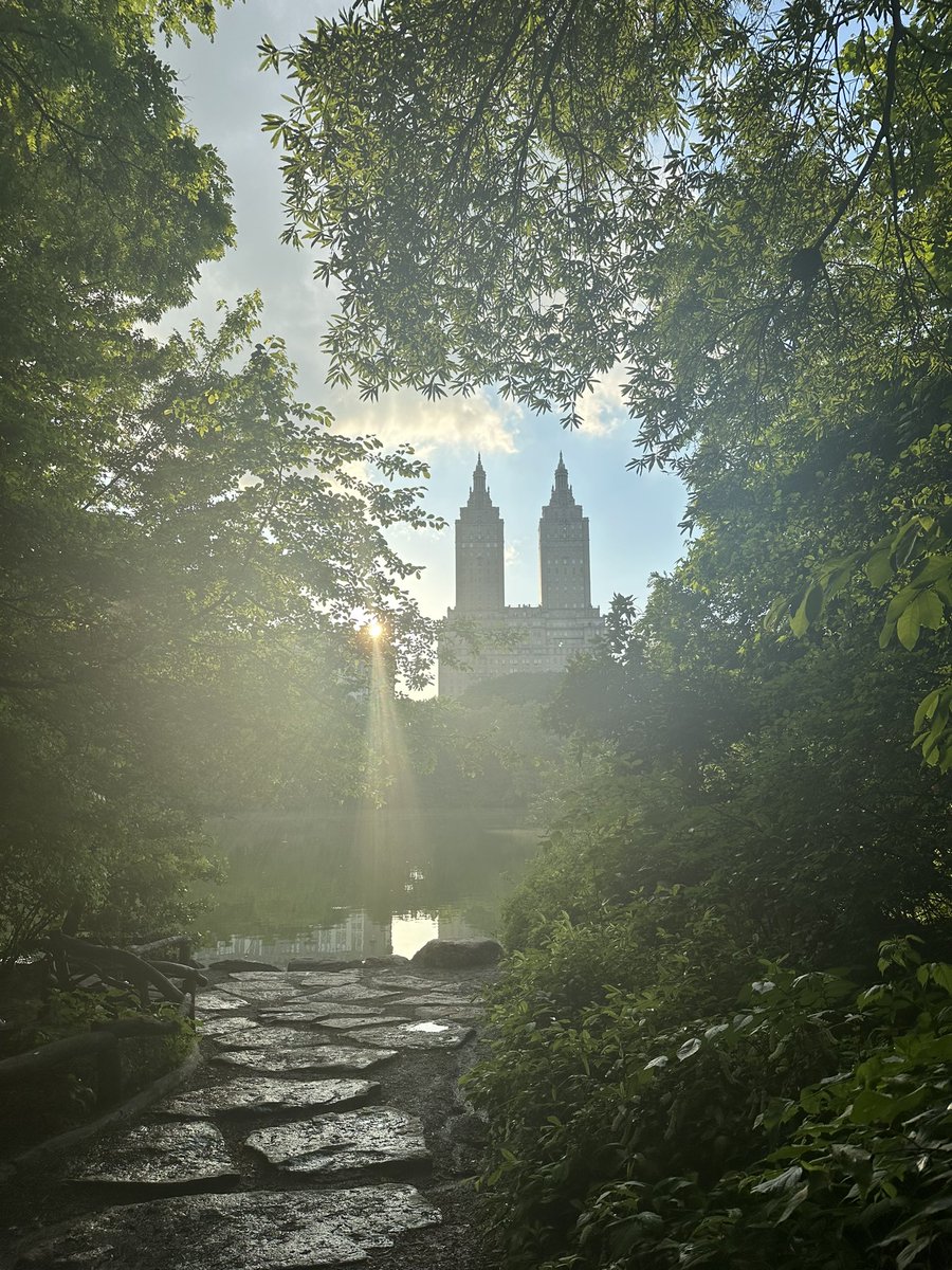 Sara Schonfeld tweet media