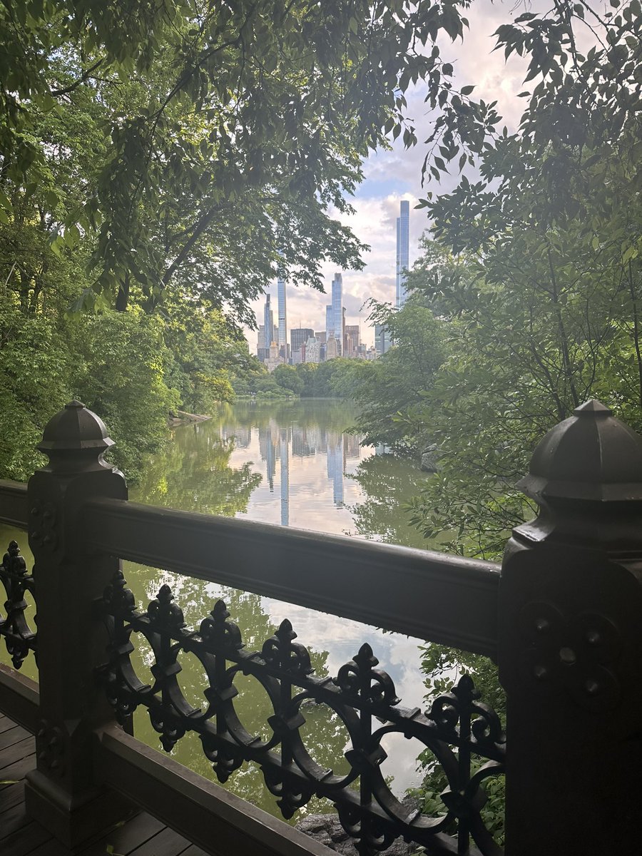 Sara Schonfeld tweet media