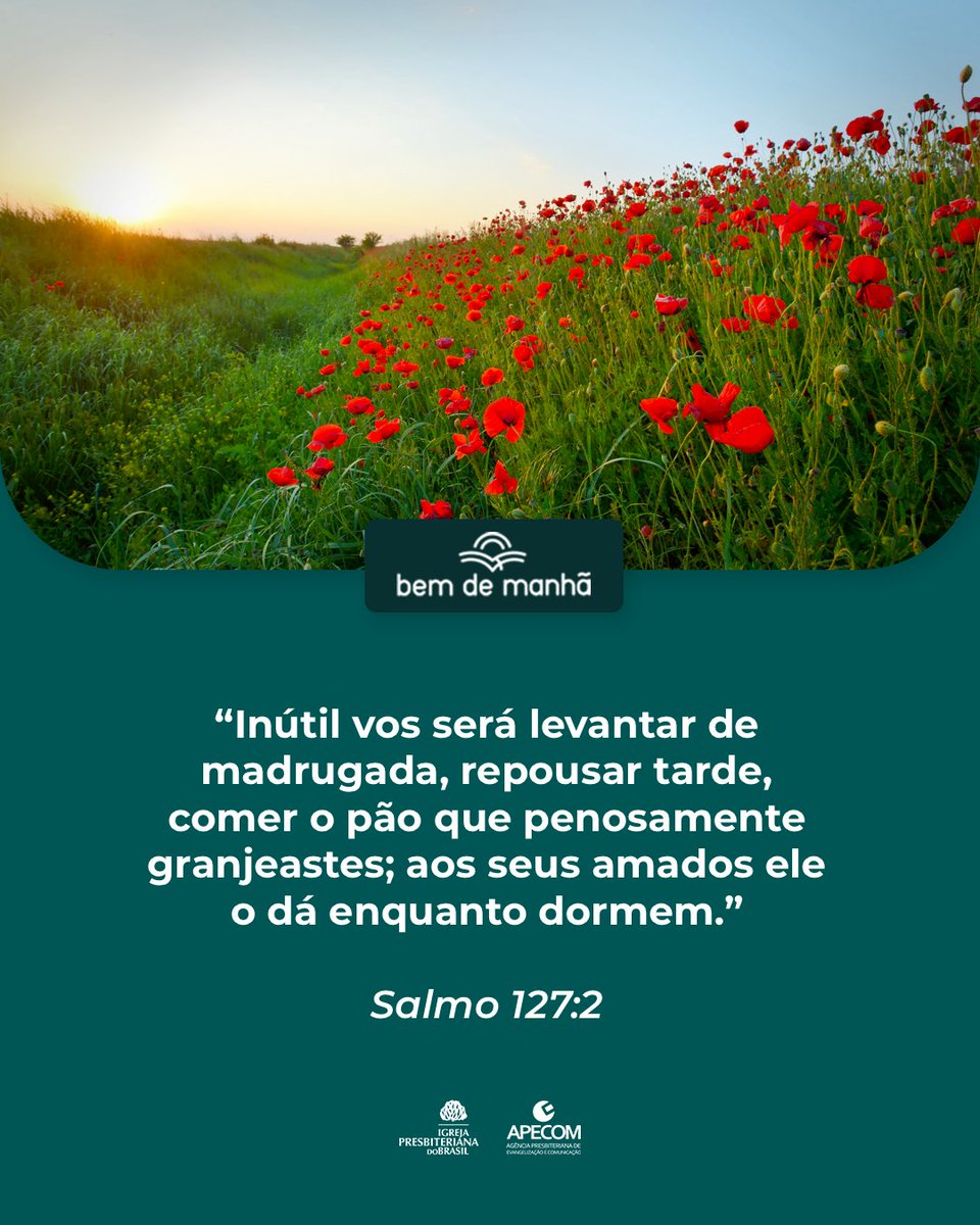 ipboficial's tweet image. Bem de Manhã: Comece o dia meditando na sabedoria de Deus.

“Inútil vos será levantar de madrugada, repousar tarde, comer o pão que penosamente granjeastes; aos seus amados ele o dá enquanto dormem.”

Salmo 127:2