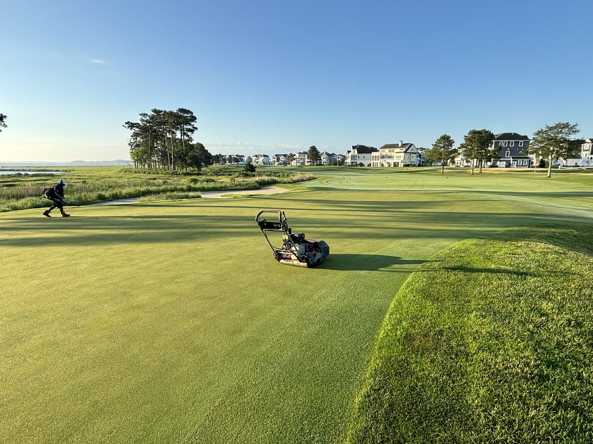 kdenuysturf's tweet photo. Jumped in on some greens cleanup this am at The Peninsula for member/ guest prep. Great job by Kevin and company over there, course is perfect for the weekend. 
#troongolf https://t.co/Js5OA8thoq