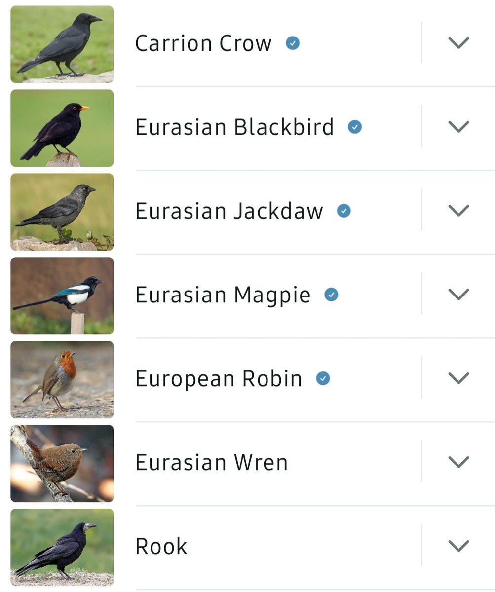 Kate Garrett tweet media