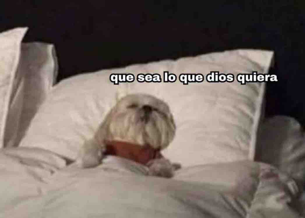 Mi alarma: 6:00, 6:05, 6:10, 6:20 

Yo:
