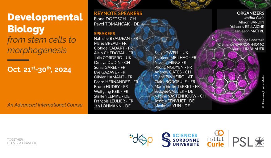 📢Join us <a href="/institut_curie/">Institut Curie</a>!
Listen to outstanding scientists working on developmental biology and stem cells.
Send your students and postdocs, it's free!
<a href="/DoetschLab/">Fiona Doetsch</a> <a href="/PavelTomancak/">Pavel Tomancak</a> <a href="/Epi_Nath/">Dr Nathalie Beaujean</a> <a href="/CRougeulle/">Claire Rougeulle</a> <a href="/dudin_o/">Omaya Dudin🍉¦ 🦠¦🔬¦</a> @_CellySally_ @MeilhacSigolene <a href="/VallierLab/">ludovic vallier</a> <a href="/NVastenhouw/">Nadine Vastenhouw</a> <a href="/jvveenvliet/">jesse veenvliet @jesseveenvliet.bsky.social</a>