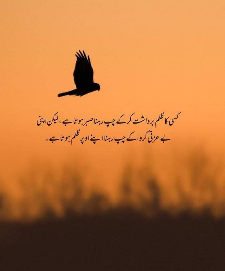 Usmanbadani's tweet photo. https://t.co/q89Hyq8mwq