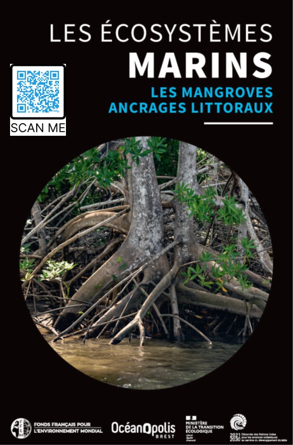 Fonds français pour l'environnement mondial (FFEM) (@ffem_fr) on Twitter photo 💡A l'occasion de la conférence de haut niveau #ImmersedinChange au #CostaRica, coup de projecteur sur 2 ouvrages produits par le
<a href="/FFEM_Fr/">Fonds français pour l'environnement mondial (FFEM)</a> & ses partenaires dédiés aux #mangroves. 📌Retrouvez tous nos ouvrages sur les #écosystèmes aquatiques 👉urlz.fr/qU1D 💡A l'occasion de la conférence de haut niveau #ImmersedinChange au #CostaRica, coup de projecteur sur 2 ouvrages produits par le
<a href="/FFEM_Fr/">Fonds français pour l'environnement mondial (FFEM)</a> & ses partenaires dédiés aux #mangroves. 📌Retrouvez tous nos ouvrages sur les #écosystèmes aquatiques 👉urlz.fr/qU1D