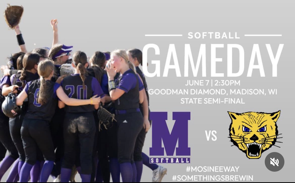 busse_ava's tweet photo. State tourney game today  @2:30 @KristinaMcSwee6 @KristleWolcott @GBPhoenixSB @skubuske https://t.co/lmoJLPnlYh