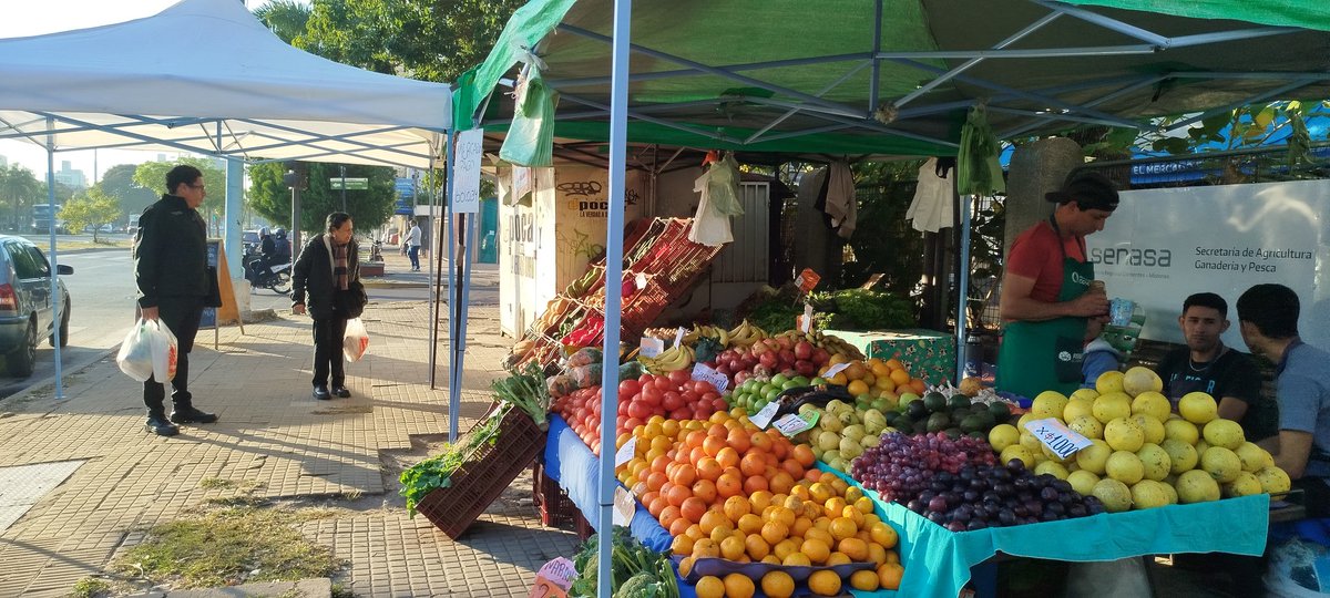 INAFCI_Ctes's tweet photo. #BolsonesSaludables | Jornada de Comercialización

Desde @INAFCI_Ctes, junto a la Asociación Provincial de Ferias Francas, seguimos trabajando para llevar alimentos sanos a tu mesa. Hoy desarrollamos una nueva jornada de #BolsonesSaludables y productos de la agricultura familiar. https://t.co/ZQOa35IN5r