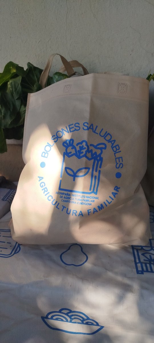 INAFCI_Ctes's tweet photo. #BolsonesSaludables es una iniciativa que apoya la reactivación de la economía local, promoviendo precios justos para que las familias puedan comercializar su producción y lograr el abastecimiento local de alimentos frescos y saludables. https://t.co/sZRDhG0Ur2