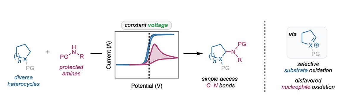 Our first pre-print is live! We harness the power of voltage-controlled electrolysis by developing Shono-type amination. Electroanalytical tools guide selective oxidation of substrate over nucleophile, enabling predictable and modular C–N bond formation.

go.shr.lc/3Kx9u2n