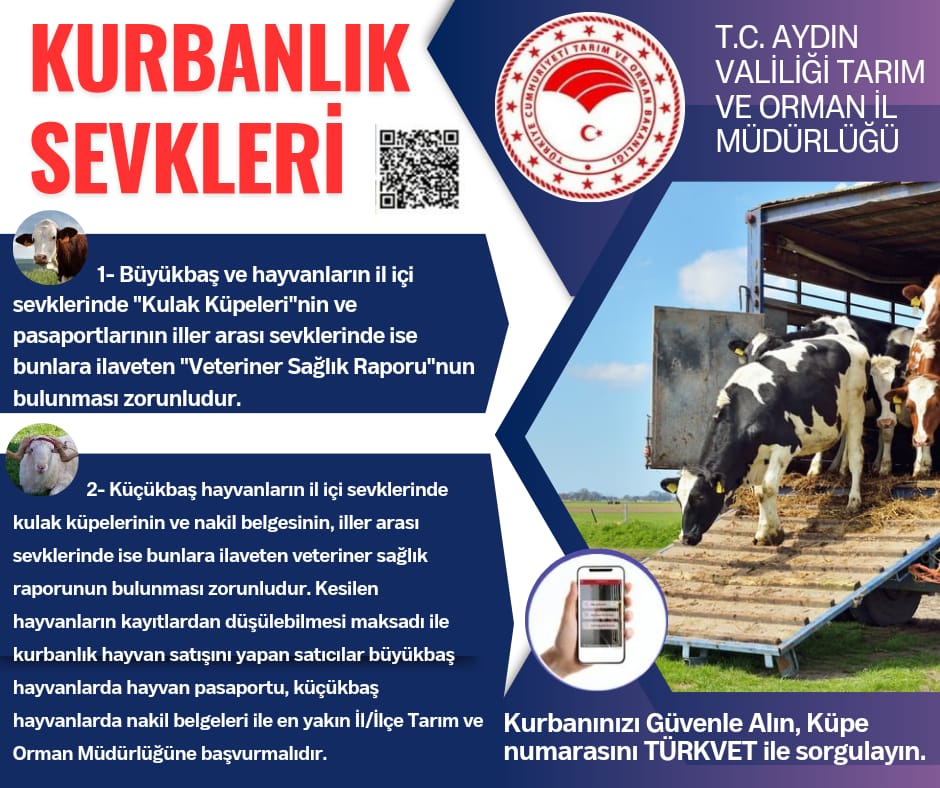 KURBANLIK HAYVAN SEVKLERİ NASIL OLMALIDIR 
 #kurbanbayramı #üretiminüreticininyüzyılı #tarımveormanbakanlığı #İbrahimYumaklı #kurbanlık #tarimcebimde #ÜretiminÜreticininYüzyılı #aydınvaliliği #aydıniltarım #yakupcanbolat #ibrahimaltıntaş #aydın