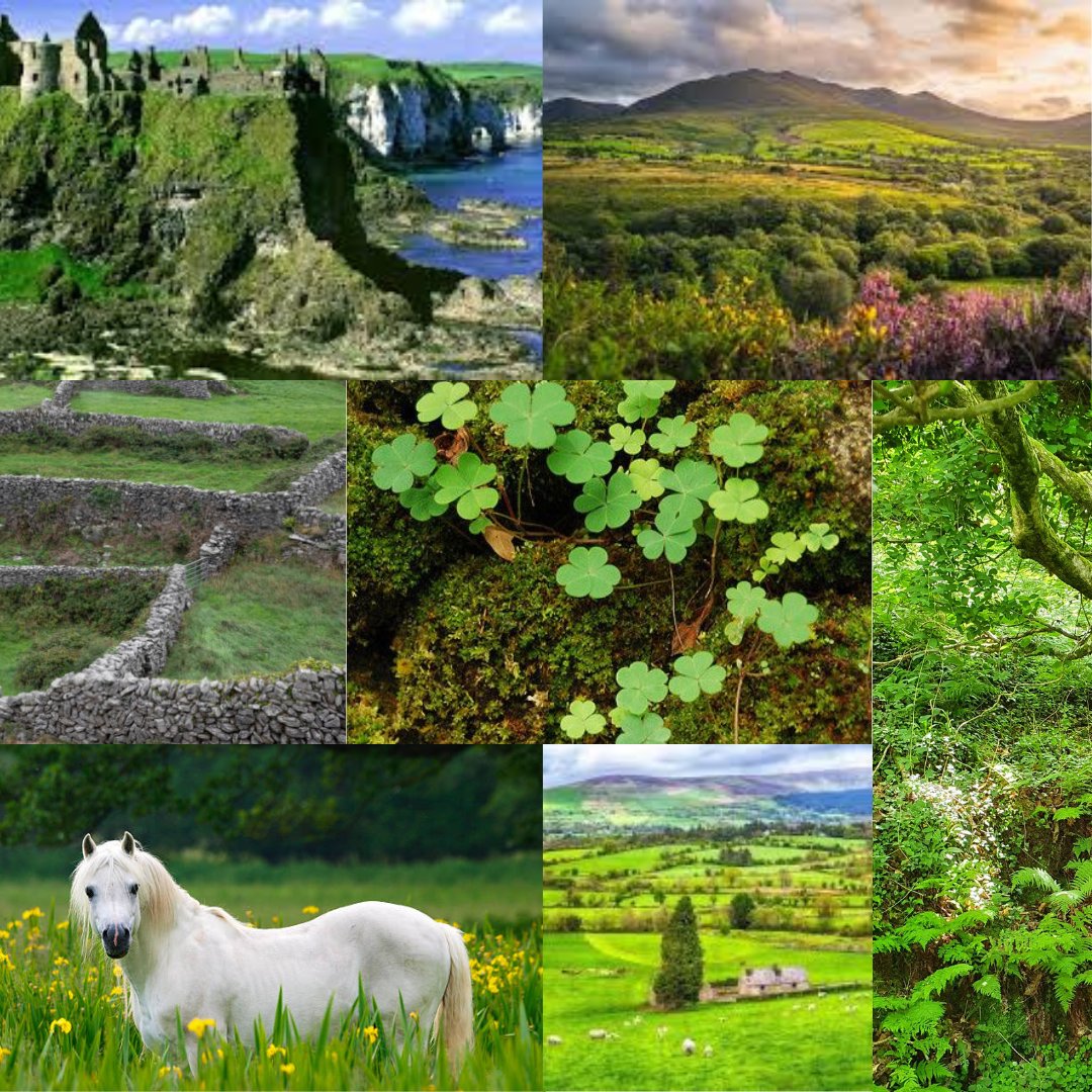 RomCom Math be like:
1 reclusive Californian lost in rural Ireland
1 mercenary sheep farmer
1 kidnapping
1 mysterious map
=
4-ever CHASING O'MALLEY

THE LOST CITY meets SOMETHING WILDER with sex toys &amp; a diverse cast
#JoyPit #A #RC #AC