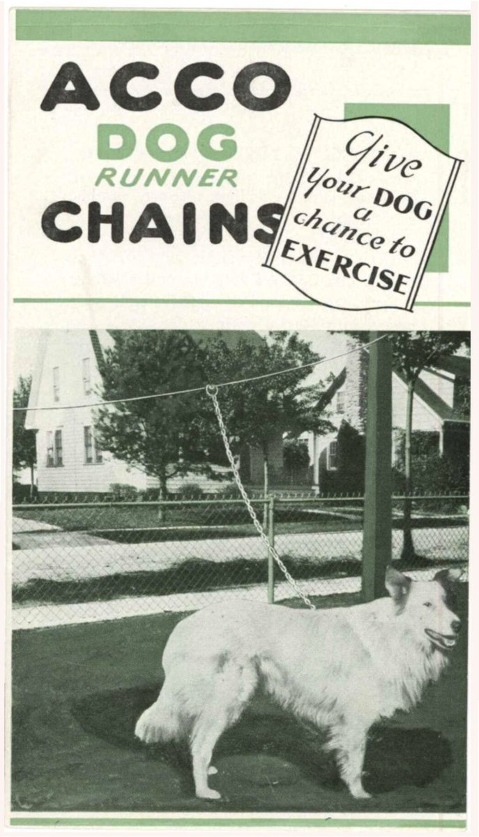 ctmuseum's tweet image. Can't take your dog out for a walk? Give your dog a chance to exercise with ACCO Dog Runner Chains! Made in #Bridgeport #Connecticut by the American Chain Company. #ArchivesPets #ArchivesHashtagParty #MakeItHere #MadeItHere