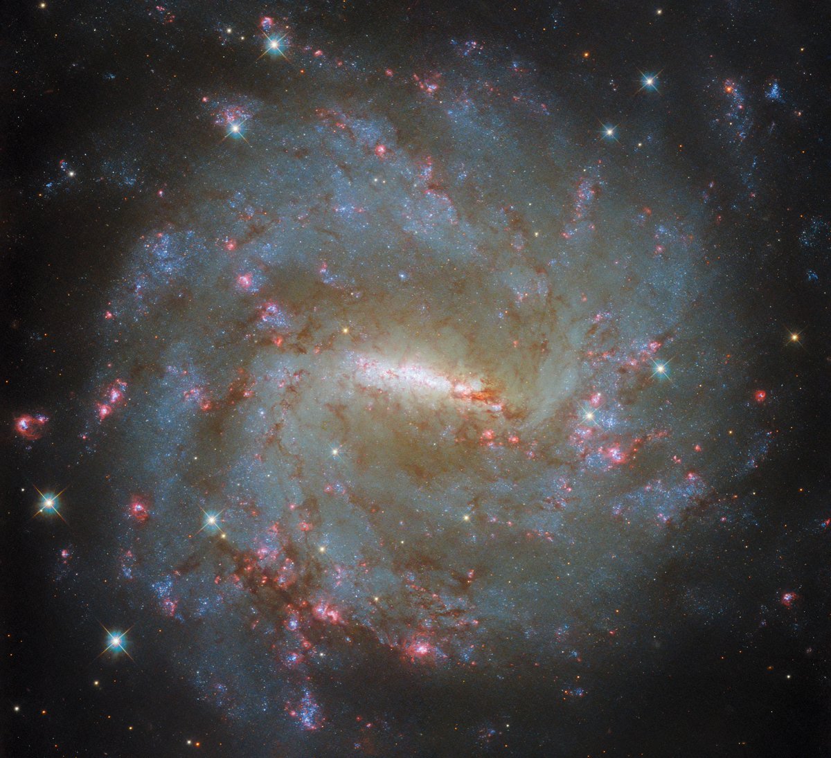 It's #HubbleFriday time! ⏰

Last month, Hubble captured this spectacular view of a barred spiral galaxy named NGC 3059, located about 57 million light-years away.

Find out more about the filters Hubble used to gather different wavelengths of light: go.nasa.gov/3yQxNWJ