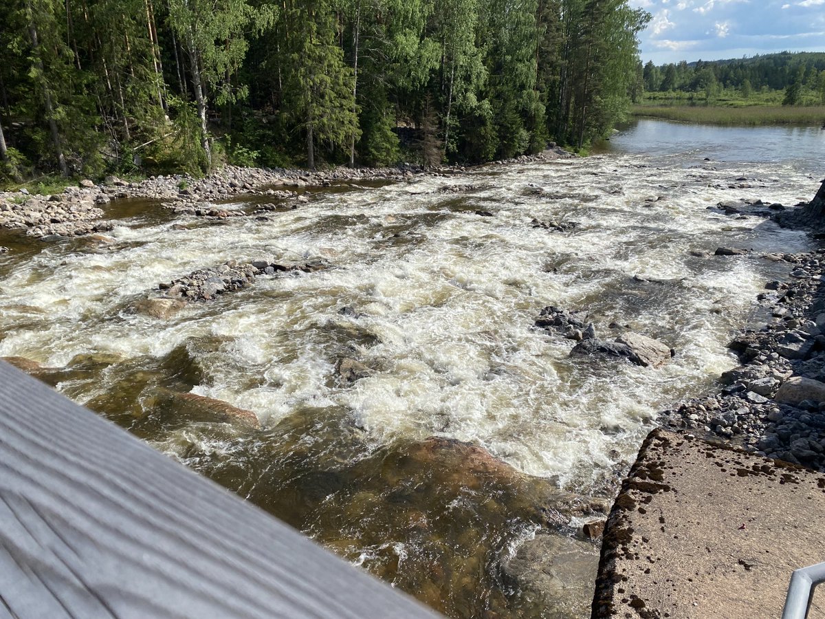 mikaelrytkonen's tweet photo. Onnistumisia Itä-Suomesta virtavesiseminaari Rautjärvellä, hienoja esityksiä ja päästiin käymään Hiitolanjoella päivää ennen avajaisia. Lahnasenkoski oli saatu kuntoon ja Ritakoskella nähtiin ⁦@Psalolainen⁩ ja muiden kanssa virtavästäräkki! https://t.co/I7m4Gvusjs