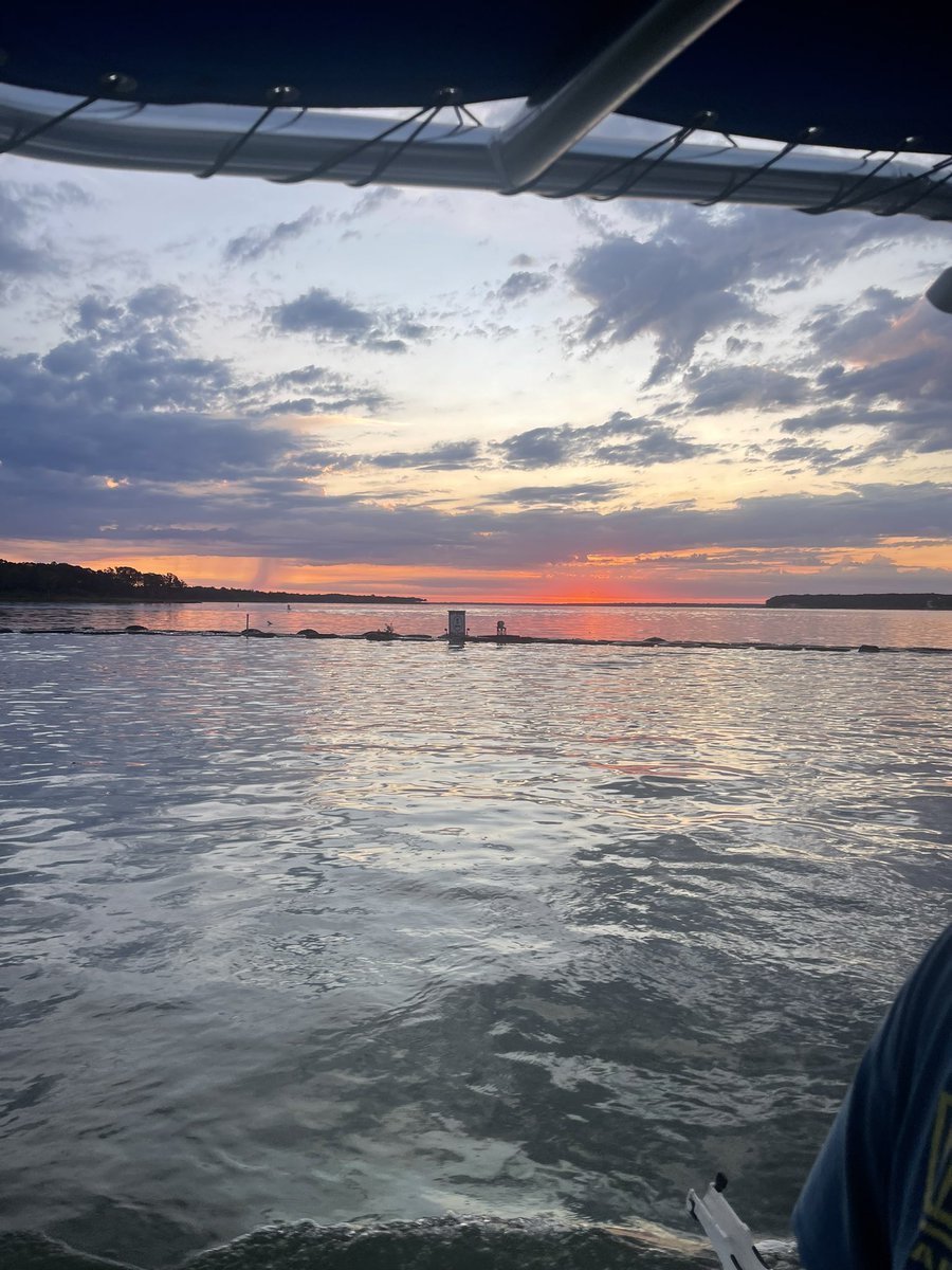 Scott Walker tweet media