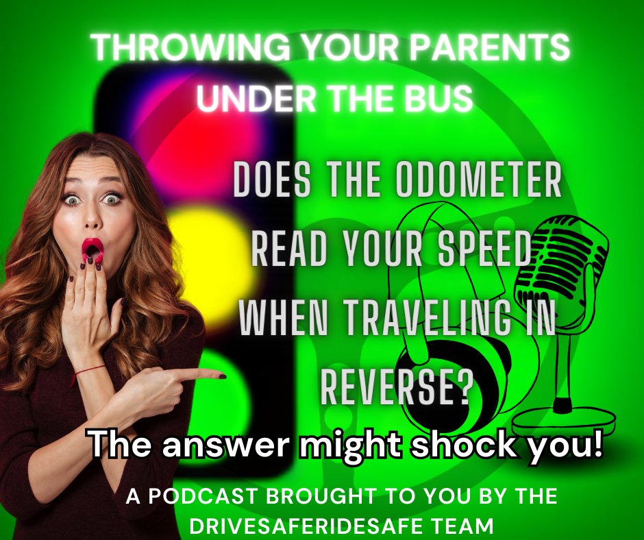 DSRS2023's tweet image. Exciting news in the driving community! We have launched the first episode of our podcast! It will mean the world to us if you'd take a listen!! buzzsprout.com/2361962/151664…

#homeschoolparent #teendriver #drivereducation