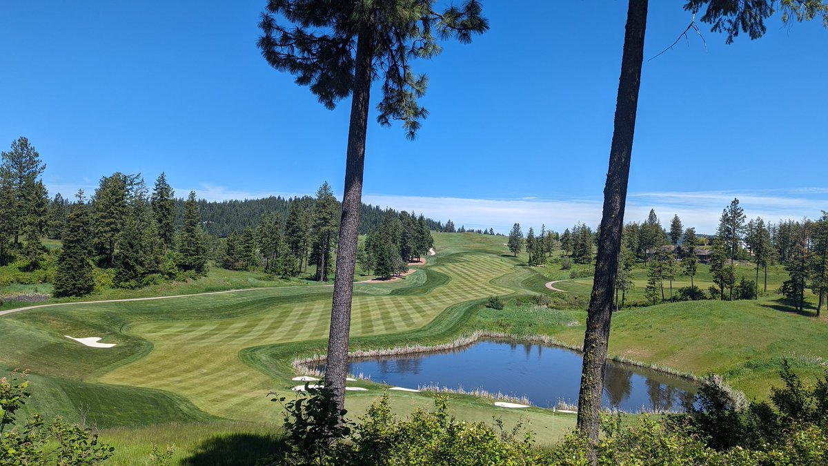 DanFredGCS's tweet image. First tournament underway
Things are dialed in!