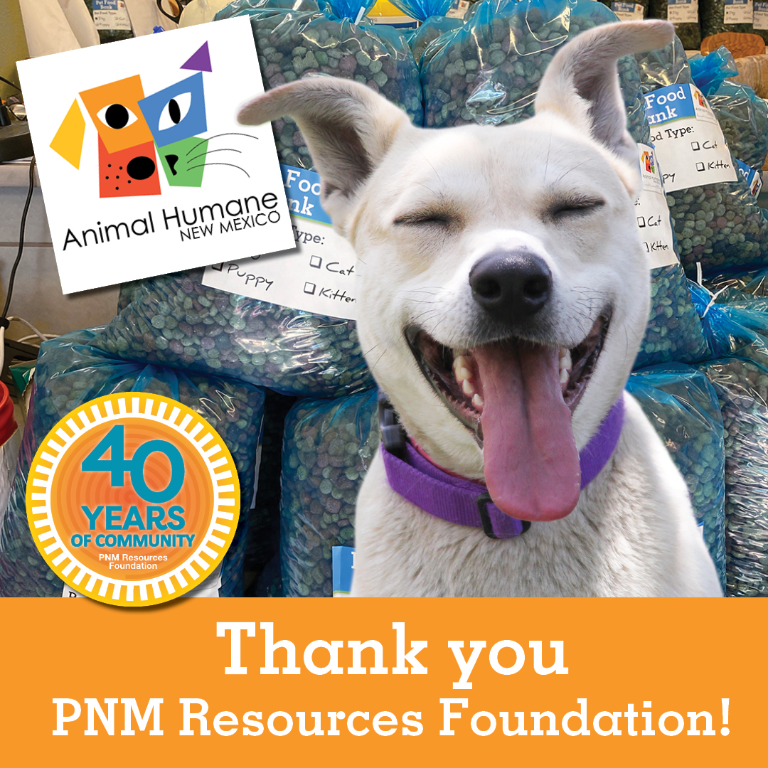 AnimalHumaneNM's tweet image. We are grateful to have received a $5,000 PNM Resources Foundation 40th Anniversary grant for our Pet Food Pantry, supporting local pets and people. 

In 2023, we were able to distribute over 45 tons of pet food to those in need. 

Thank you, @PNMTalk 💙