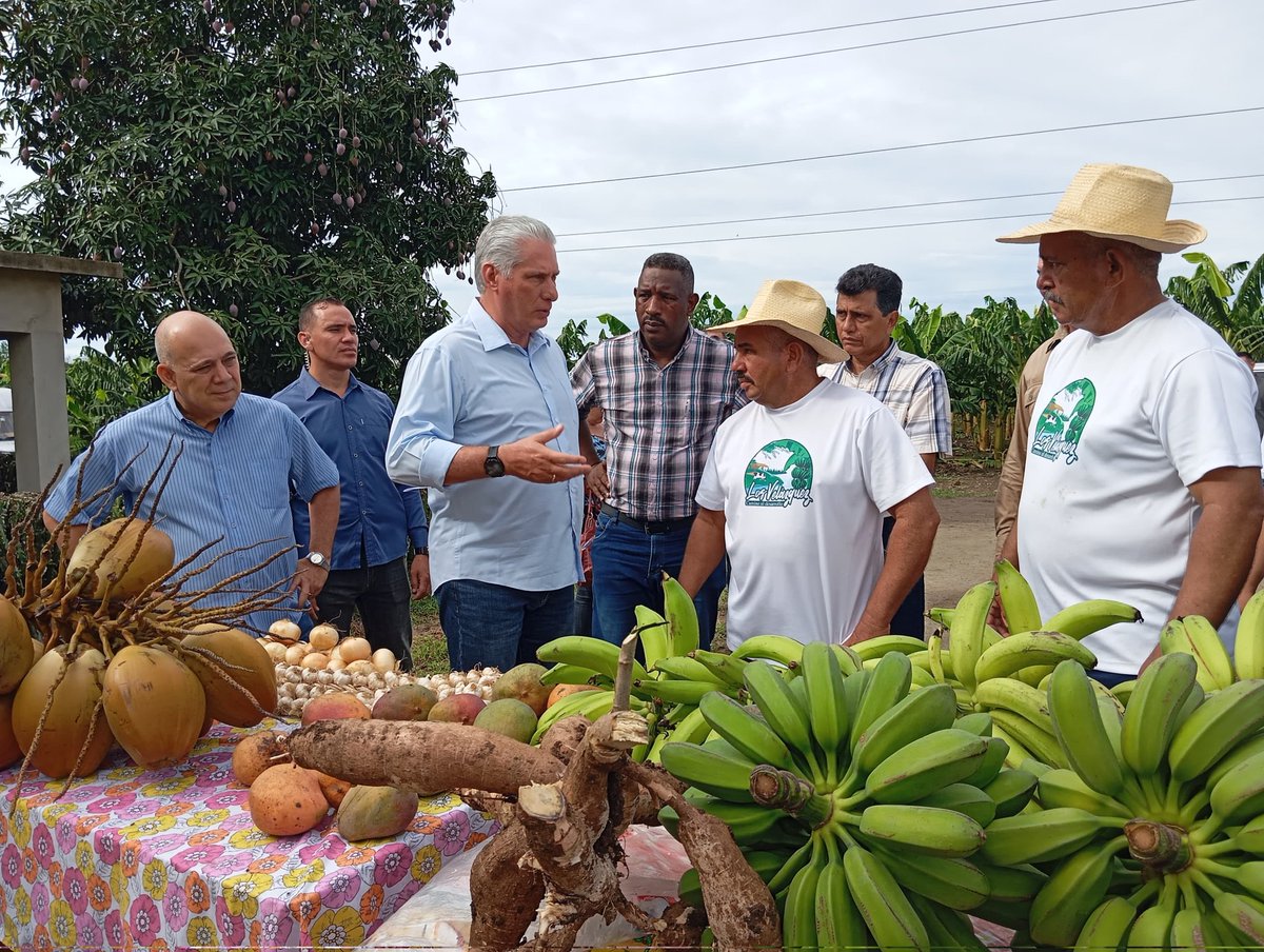 PartidoPCC's tweet photo. Hasta la finca de Los Velázquez llegaron @DiazCanelB y @DrRobertoMOjeda como parte del sistema de trabajo que se ha implementado desde el mes de enero. A pesar de las limitaciones en la agricultura buscan alternativas que los lleven por el camino al desarrollo de sus tierras. https://t.co/as6zu8RxhT