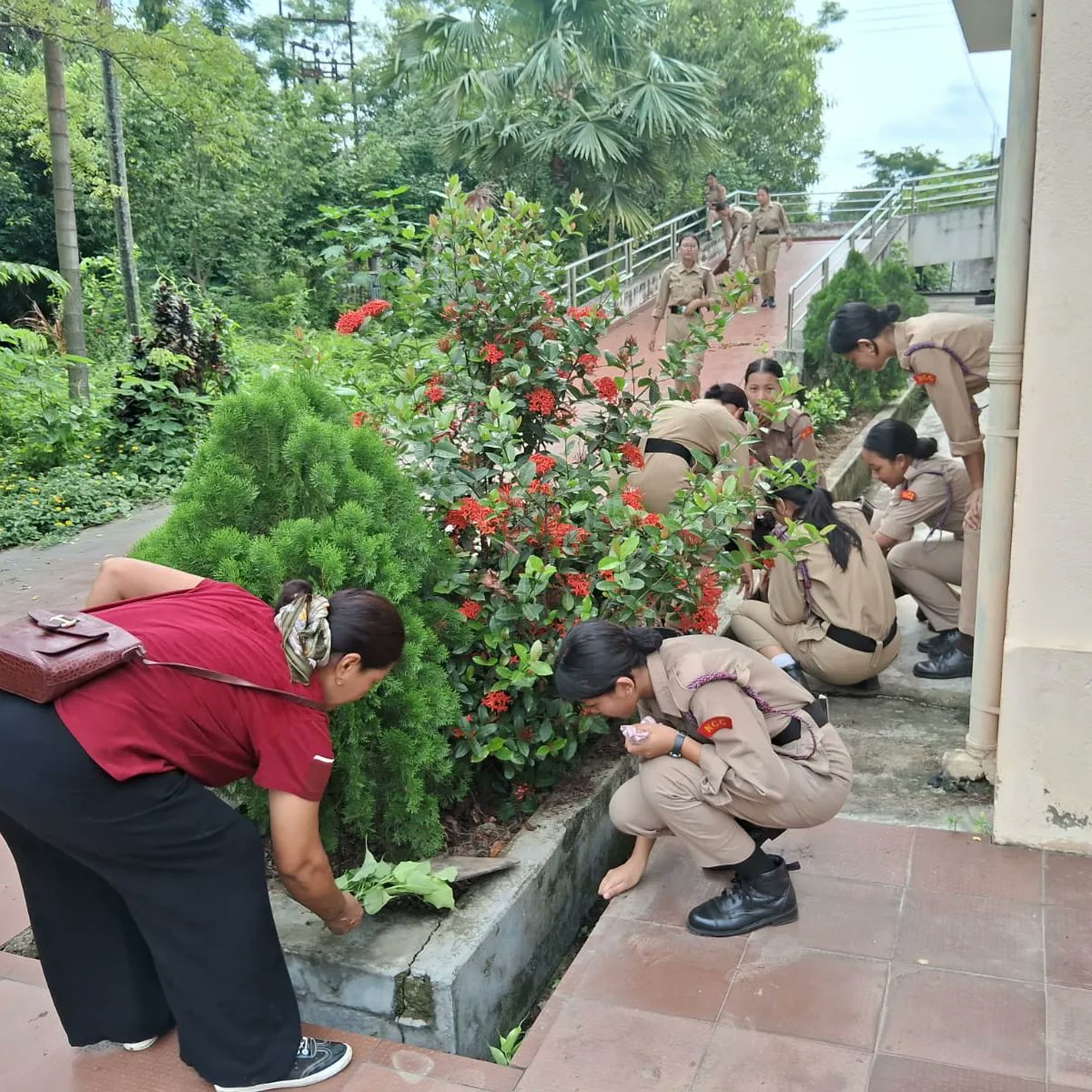 Innovation Hub &amp; Space Education Centre, NSC- DST observed the World Environment Day 2024 on June 5.
A cleanliness drive &amp; Sapling Plantation drive was conducted in the premises of Nagaland Science Centre in collaboration with 24 Nagaland NCC Coy (I) , Greenwood School, Dimapur.