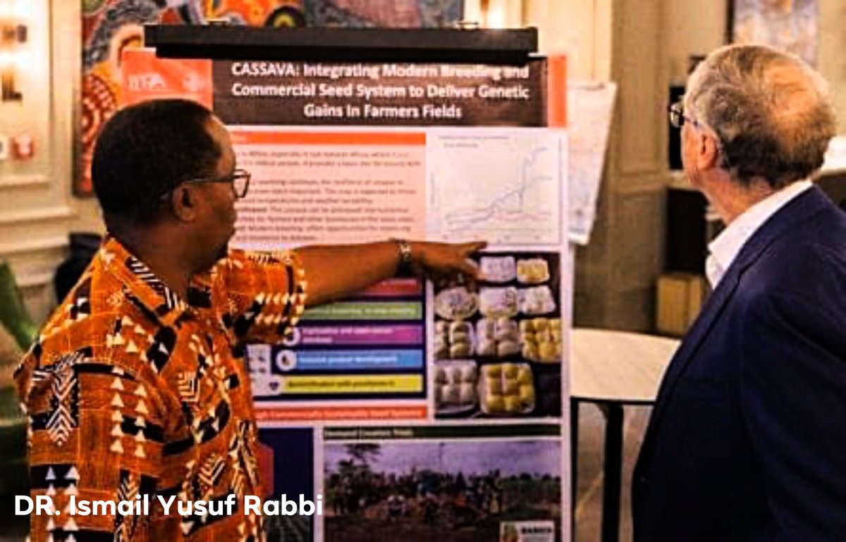 Cassavabreedingunit IITA (@iitacassavaunit) on Twitter photo Throwback to when Dr. <a href="/Ismail_y_r/">IYR</a> presented the importance of genetic innovation in improving cassava's nutritional and resilience traits. <a href="/cassavabreeding/">cassavabreeding</a> is delighted to have been a part of this historic moment! <a href="/IITA_CGIAR/">IITA</a>, <a href="/Ismail_y_r/">IYR</a> <a href="/nrcri_umudike/">NRCRI UMUDIKE</a>,<a href="/FmardNg/">Fed Min of Agric & Food Security</a> #FoodSecurity Throwback to when Dr. <a href="/Ismail_y_r/">IYR</a> presented the importance of genetic innovation in improving cassava's nutritional and resilience traits. <a href="/cassavabreeding/">cassavabreeding</a> is delighted to have been a part of this historic moment! <a href="/IITA_CGIAR/">IITA</a>, <a href="/Ismail_y_r/">IYR</a> <a href="/nrcri_umudike/">NRCRI UMUDIKE</a>,<a href="/FmardNg/">Fed Min of Agric & Food Security</a> #FoodSecurity