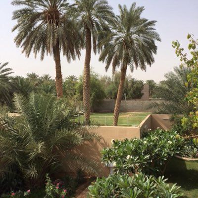 SALEHA_jelaify's tweet photo. #زميقة الجميلة بأهلها الكرام الطيبين، وخصوبة أراضيها، ومزارعها النموذجية، وتراثها وموقعها الاستراتيجي جنوباً بـ #محافظة_الدلم تحضر في لقاء تلفزيوني في قناة الـ @mbc1 عبر برنامج @MBCinaWeek مع الفنان الرائع والجميل جدًا، أخي أ. عبدالعزيز المبدل @aziz_almubaddil في موقف طريف أمام  الملك فهد والملك عبدالله_رحمهما الله.