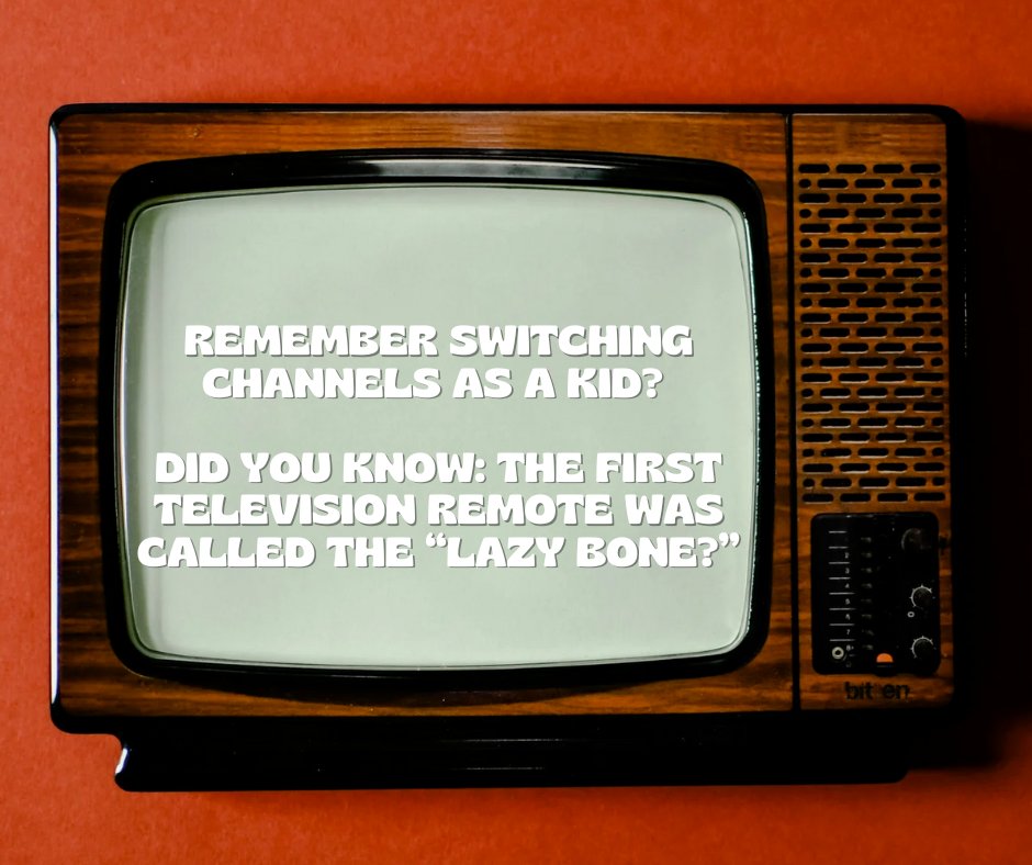 Lisa Cini tweet media