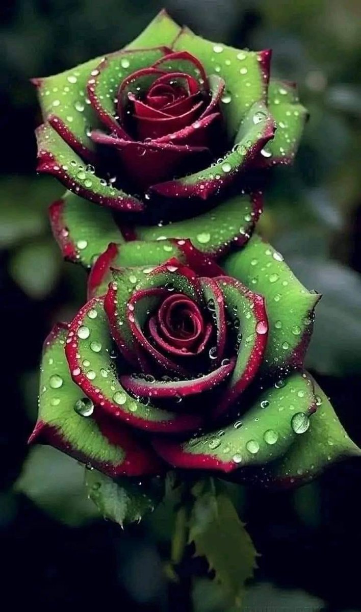 nature4u9 tweet picture