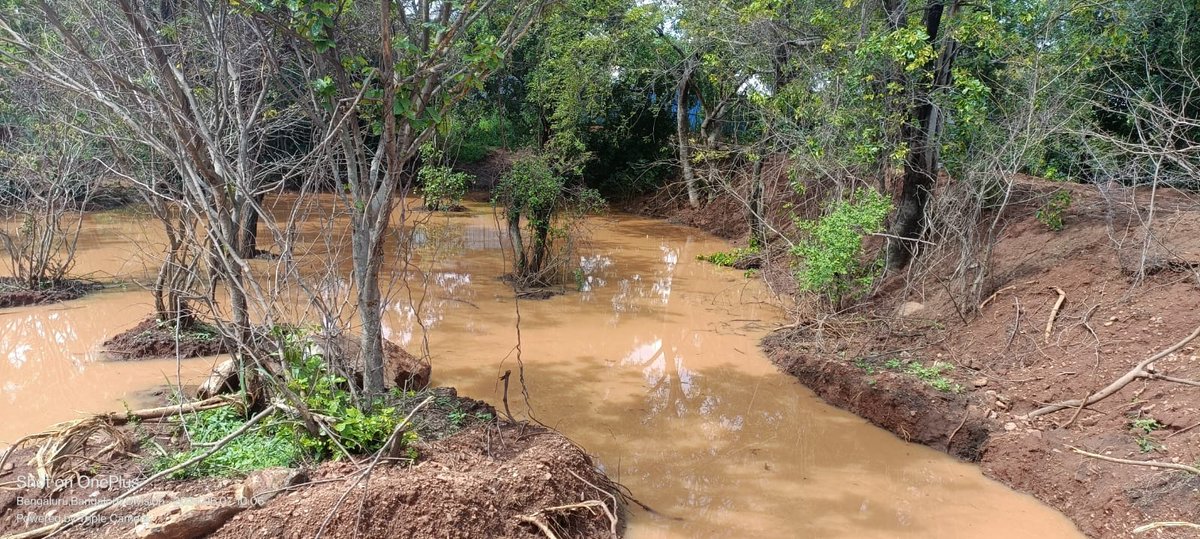 FOL has created a pond at Provident Sunworth on Mysore Road, spanning over a quarter acre, using Nature-Based Solutions (NBS) without concrete. The primary purpose is to facilitate groundwater recharge. 
#SaveLakes #groundwater #savewatersavelife #noconcrete #waterconservation
