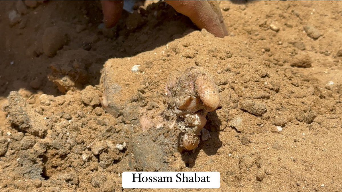 Motasem A Dalloul tweet media