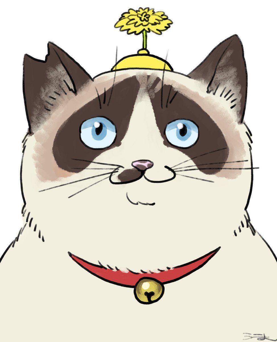 たぬきちちゃん
<a href="/JaJaJaJackson/">みと</a>