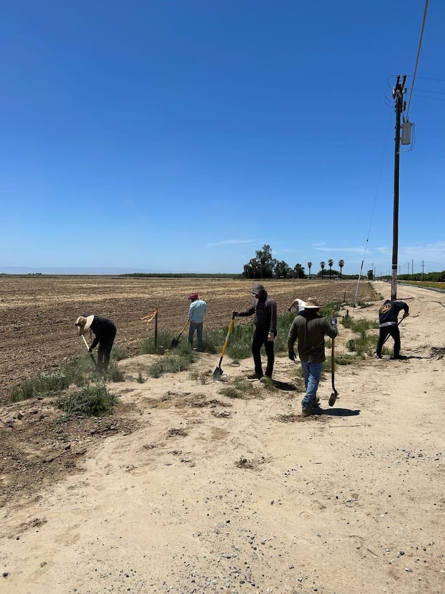 United Farm Workers tweet media