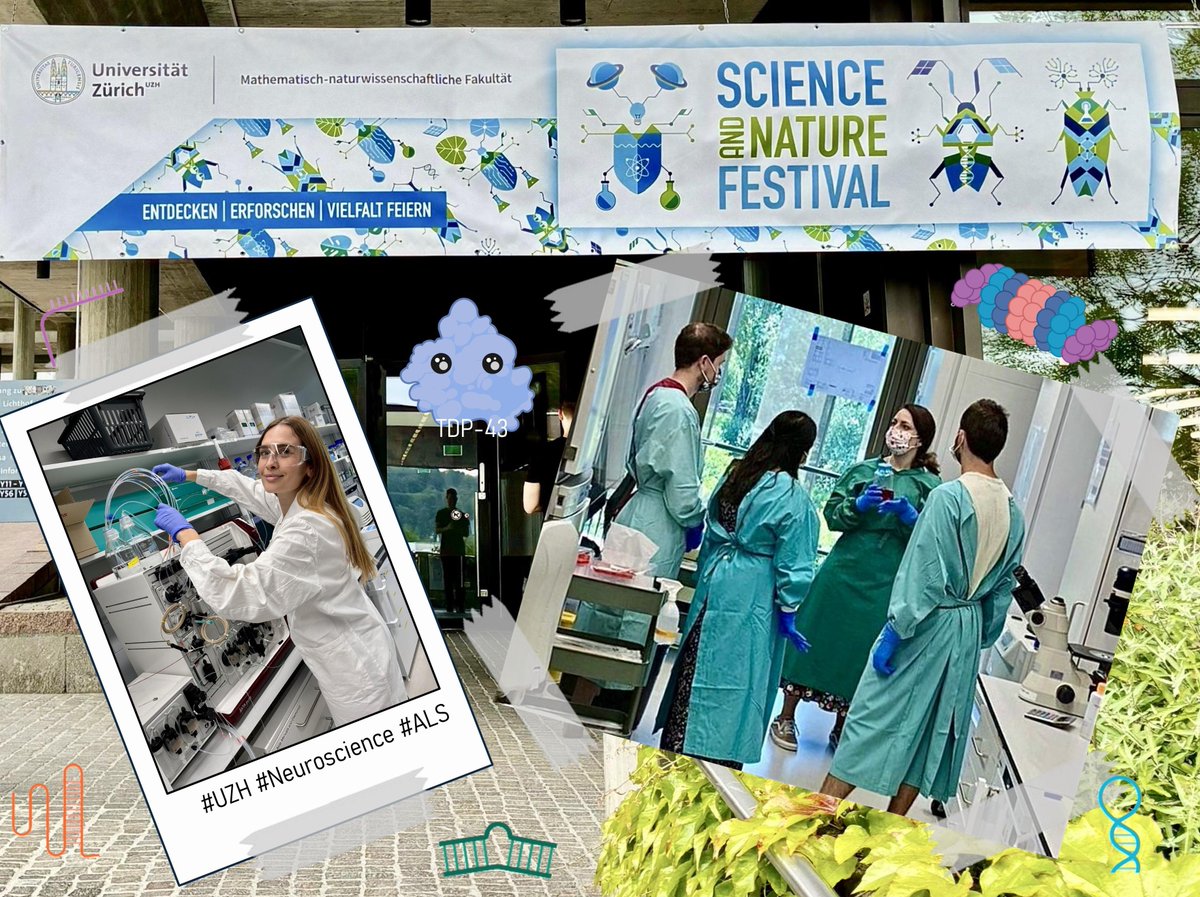 Chocobosauwurm's tweet photo. Become a functional protein in our game about physiology and pathology in neurodegenerative disease and get your polaroid portrait as a scientist at our @PolymenidouLab  booth tomorrow at the Science and Nature Festival at Irchel Campus, UZH 12 pm! 👩‍🔬👾🧪 https://t.co/WLaVDDQ1bt