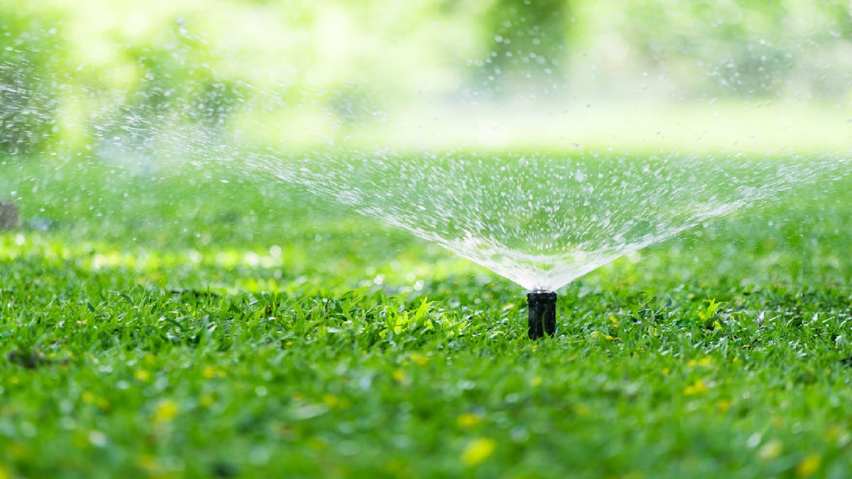 dripworksusa's tweet image. Ensure Your Sprinkler System is Summer Ready! 🌞💧
Read Here: dripworks.com/blog/summer-ch… 

#LawnCare #SprinklerSystem #SummerPreparation #WateringTips #IrrigationMaintenance #HealthyLawn #DripWorksBlogs #SustainableLiving #GardenCare #GreenThumb