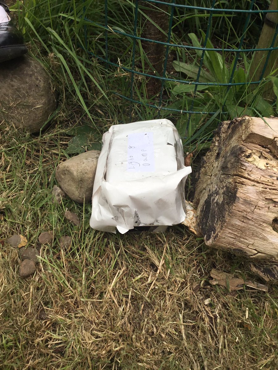Oak class woodlouse experiment! I wonder which conditions will attract the most woodlice? 🤔