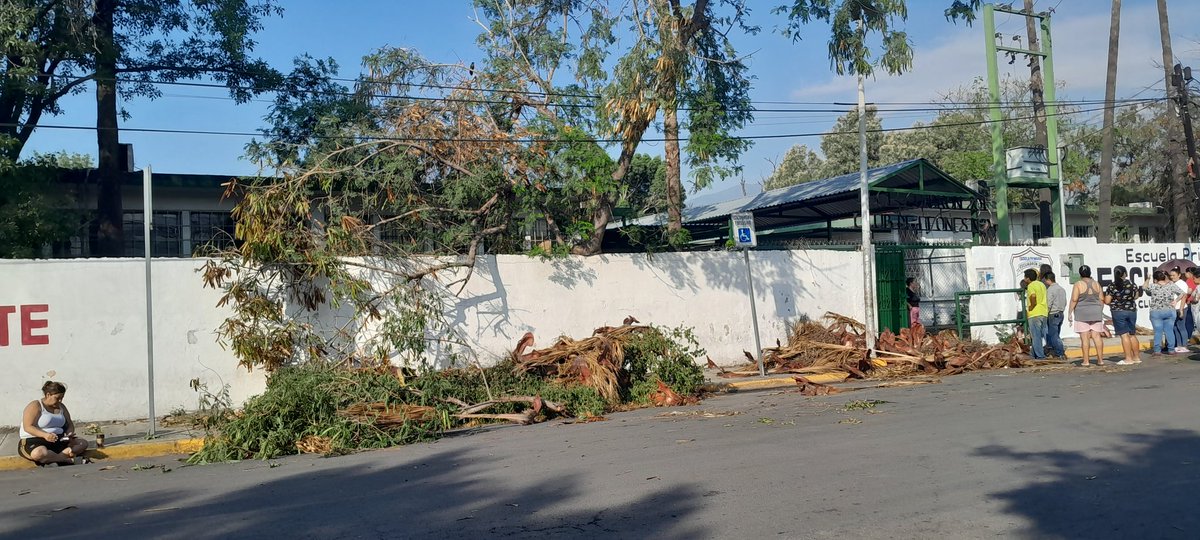 aranzabia's tweet photo. @nmasmonterrey @nmas Buenos dias @joluisgarcia @ZyntiaVanegas @gaby_lozoyag Esc Prim. Escuadron 201 Club de Leones en col Central en Mty no hay luz y arboles destrozados. Favor de reportar. https://t.co/OzuD78fQHn