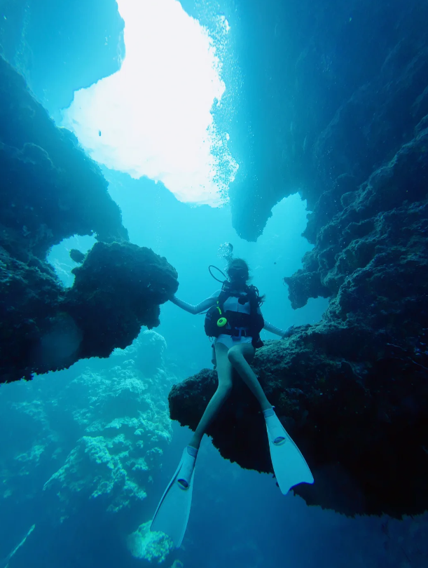 SleepyCat92's tweet photo. Jump into the embrace of the ocean, release your body and mind, and wander freely in the blue underwater world. https://t.co/E9W1TCxaTg