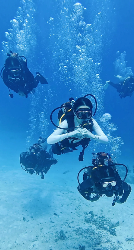 SleepyCat92's tweet photo. Jump into the embrace of the ocean, release your body and mind, and wander freely in the blue underwater world. https://t.co/E9W1TCxaTg